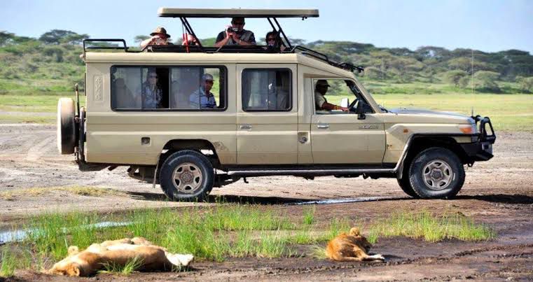A KimKen Safari Vehicles