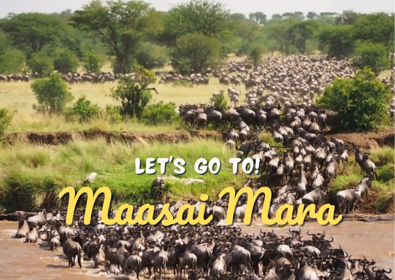 Masai Mara Trip Card